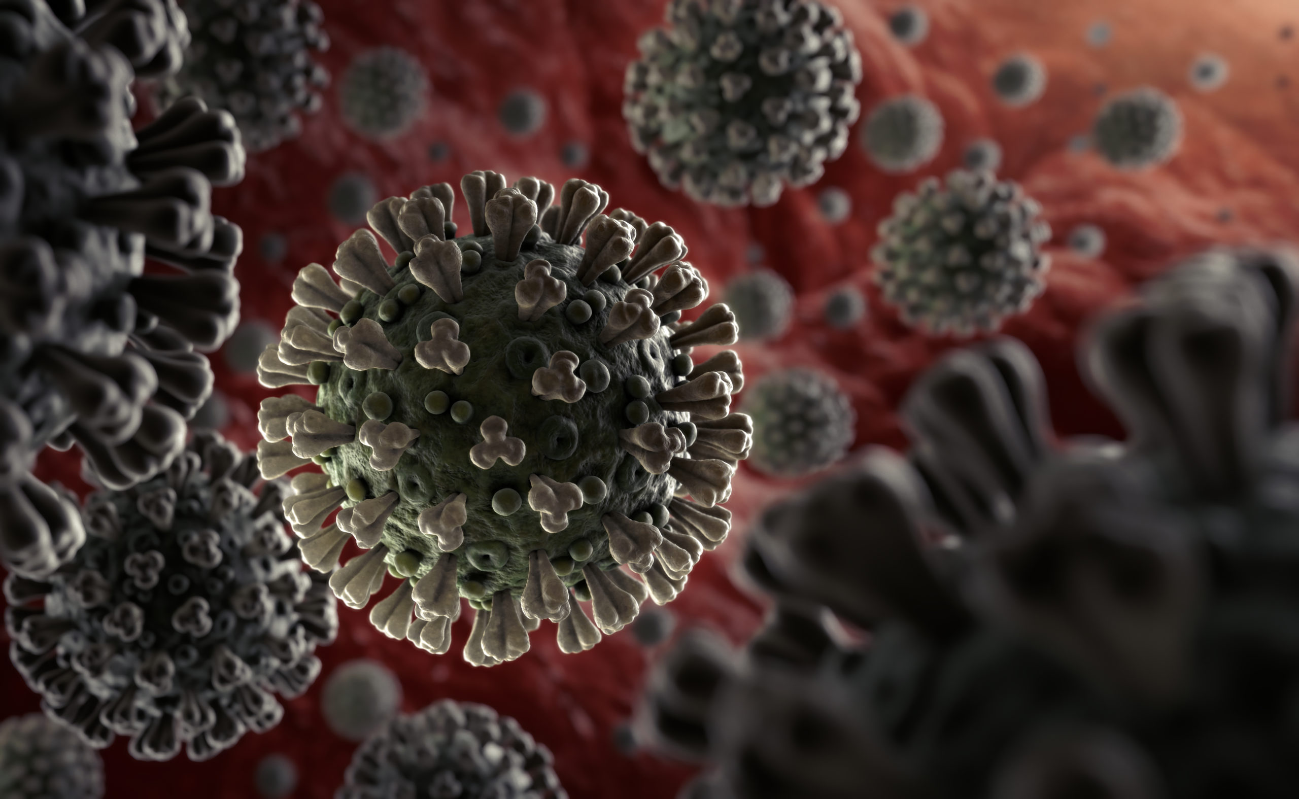 deadly coronavirus pandemic