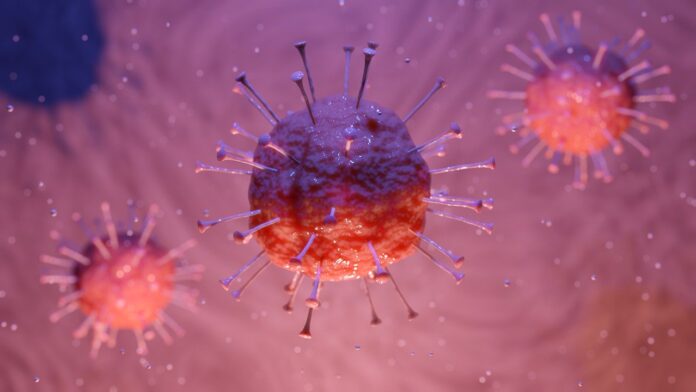 coronavirus from myrtle beach