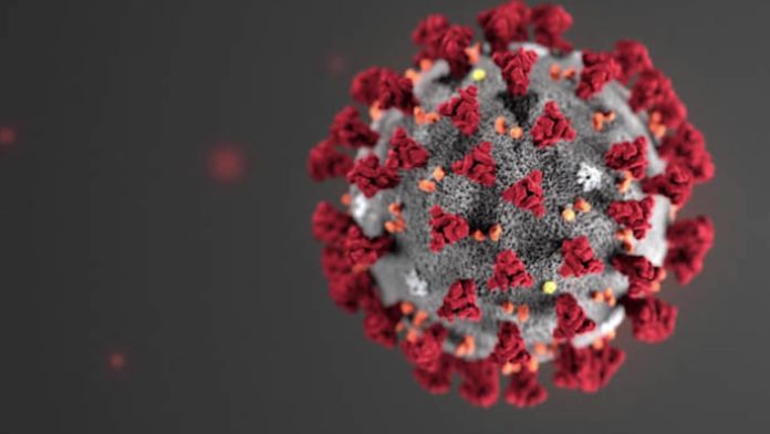coronavirus vaccine may be developed iin the near future
