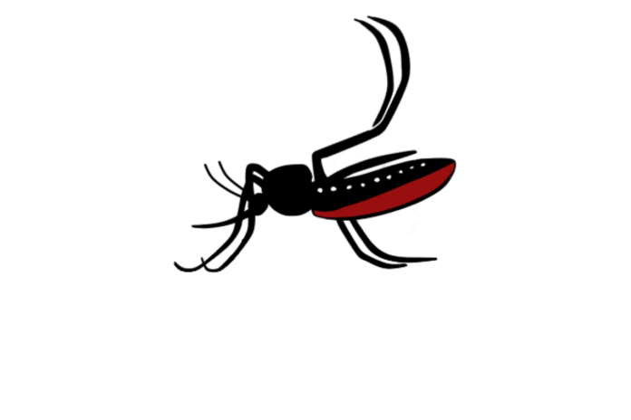 Zika Virus and Chikungunya Virus