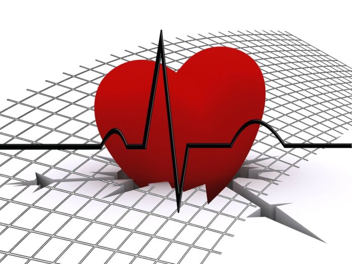 cardiovascular disease risk