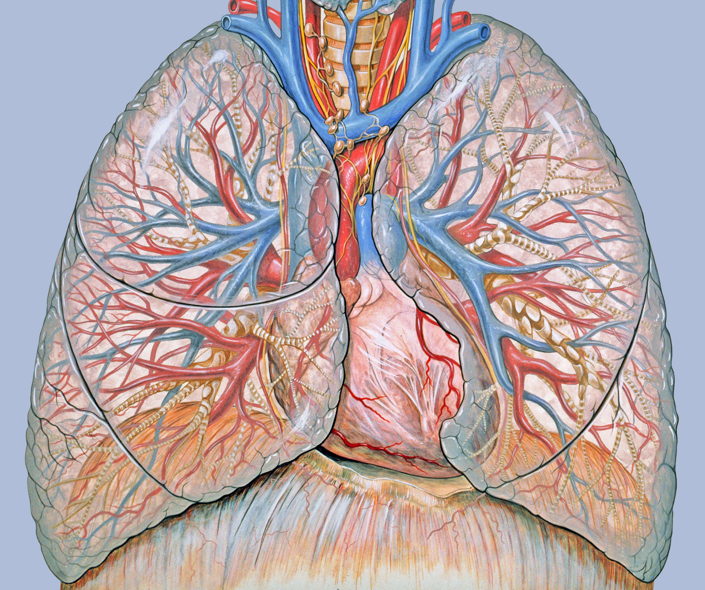 Sign of Lung Cancer
