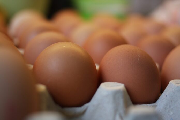 eggs risk of diabetes