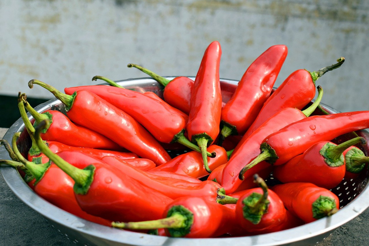 chili pepper aging