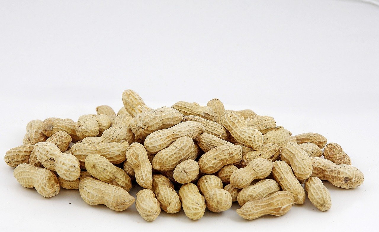 peanut allergy adults