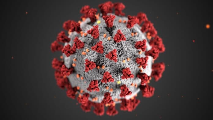 new coronavirus variants