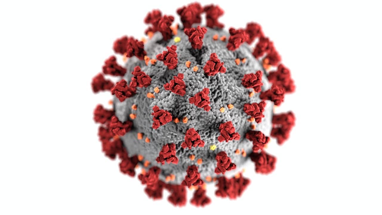 coronavirus delta variant